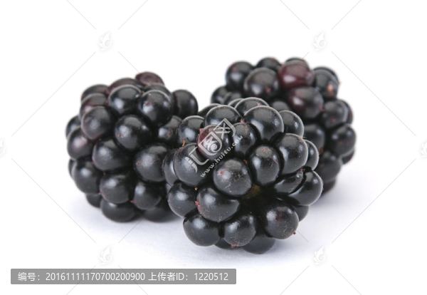 黑莓漿果