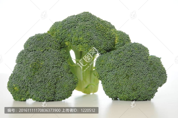 西蘭花