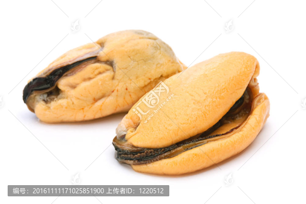 煮黃貽貝