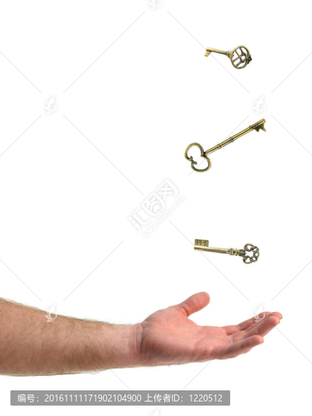 分發(fā)