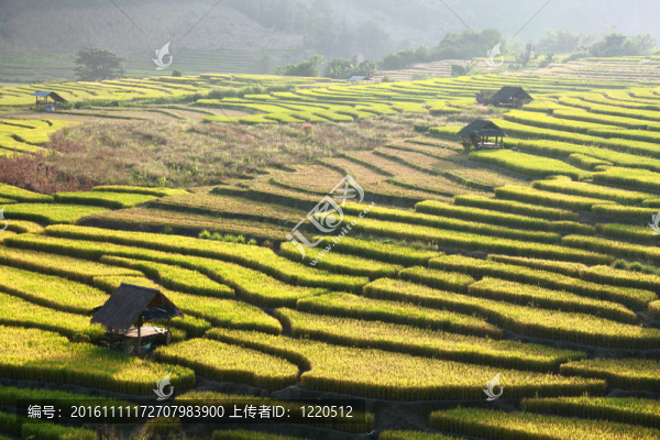 梯田和小屋在山峰