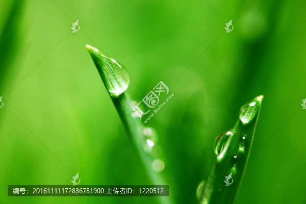 大水滴