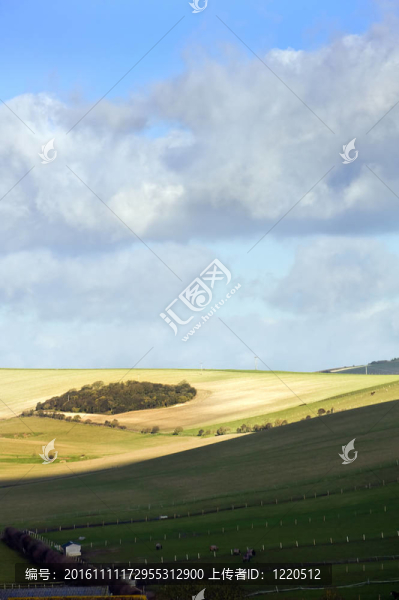 美麗的充滿活力的風(fēng)景滾動英國農(nóng)村