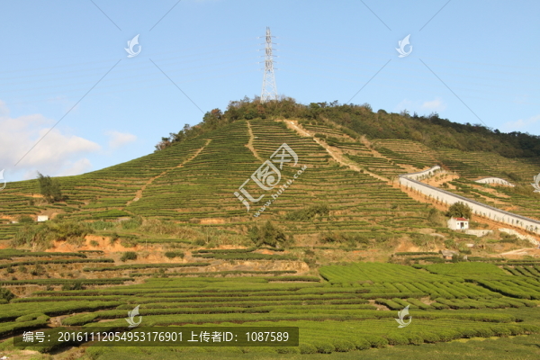 長龍鎮(zhèn)嶺頭