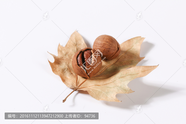 山核桃