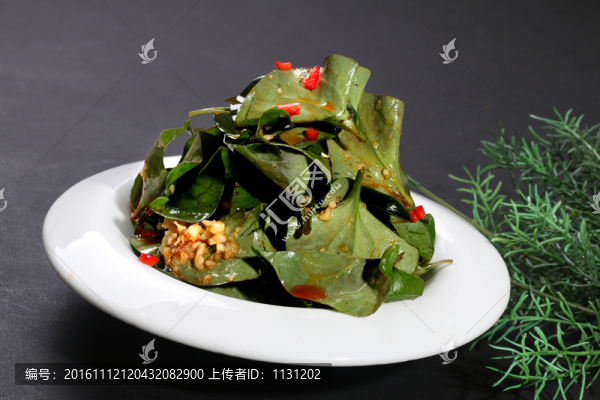 折耳葉