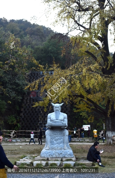 千年銀杏谷