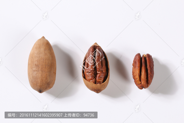 美國山核桃