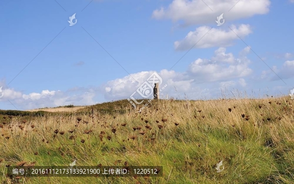 布蘭頓荒地；法國