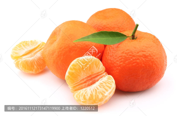 橘子收成時(shí)