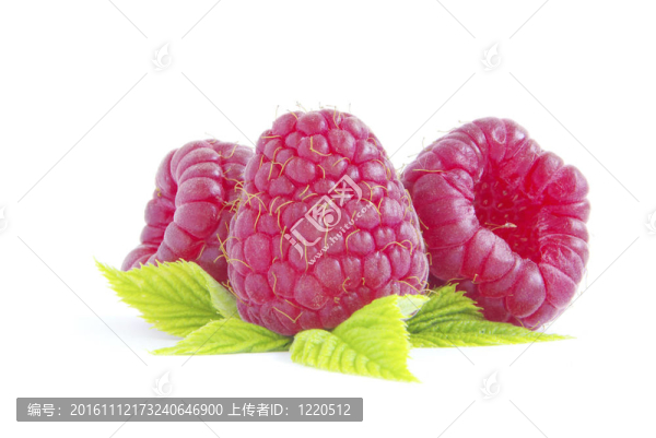 覆盆子