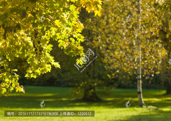 初秋的公園