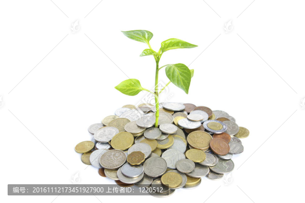 植物在硬幣