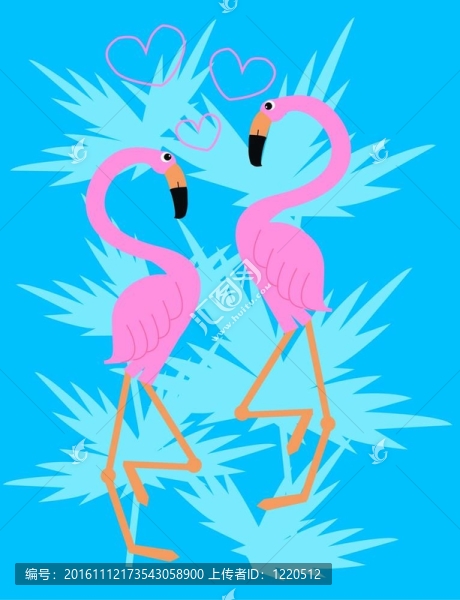 火烈鳥夫婦