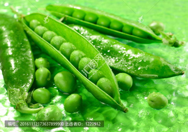 綠色的豌豆