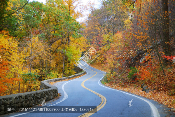 多彩曲折的秋之路