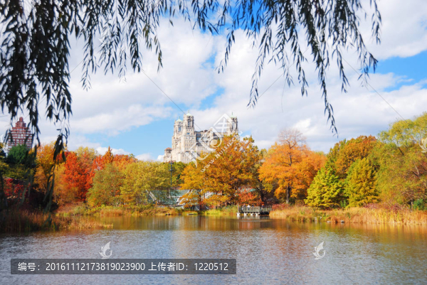 曼哈頓市紐約中央公園