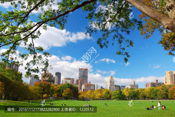 紐約市中央公園藍天白云