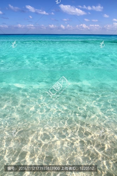 加勒比熱帶海灘清澈綠松石水