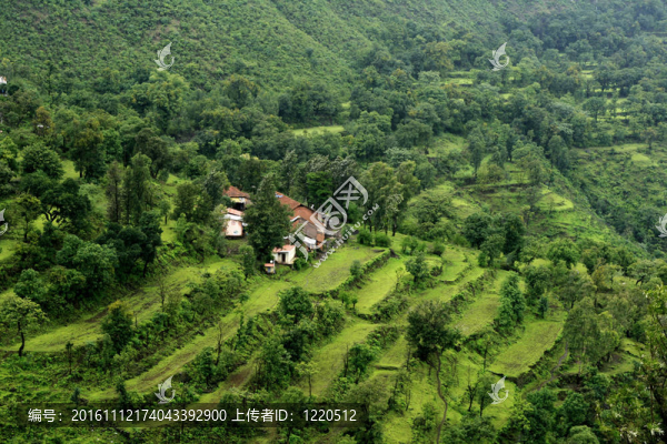 美麗馬哈巴勒什場景