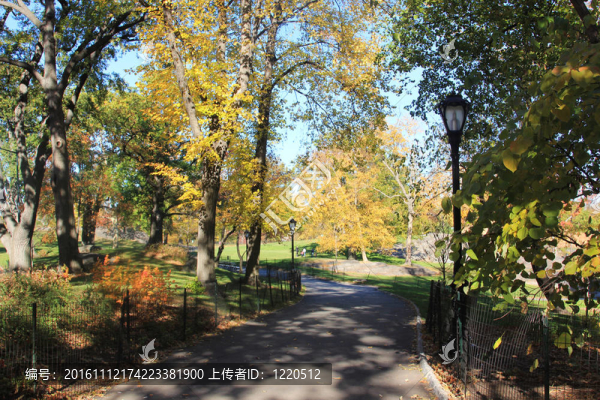 NY中央公園；