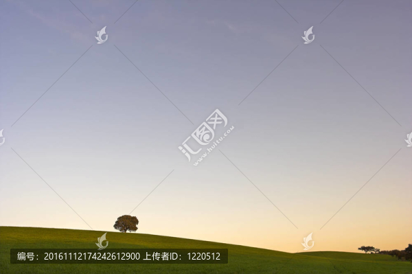 阿連特茹平原黎明