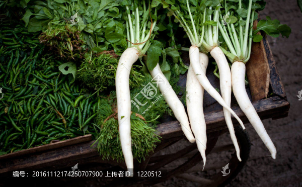 印度蘿卜；菠菜