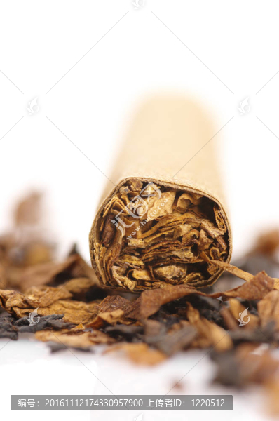 雪茄和煙草