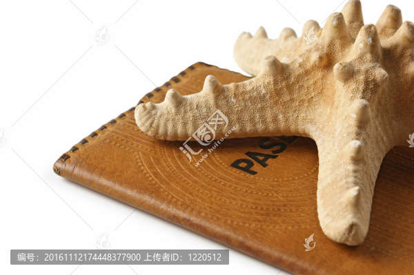 護(hù)照和海星-匯圖網(wǎng) www.fosd68.com 護(hù)照和海星