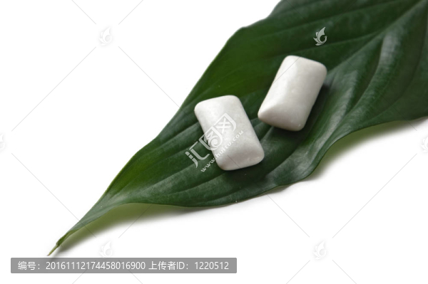在綠葉上嚼口香糖