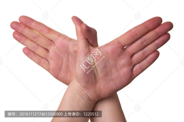 手中的鳥(niǎo)