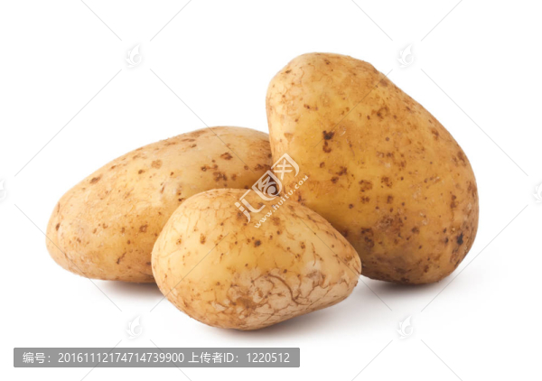 土豆
