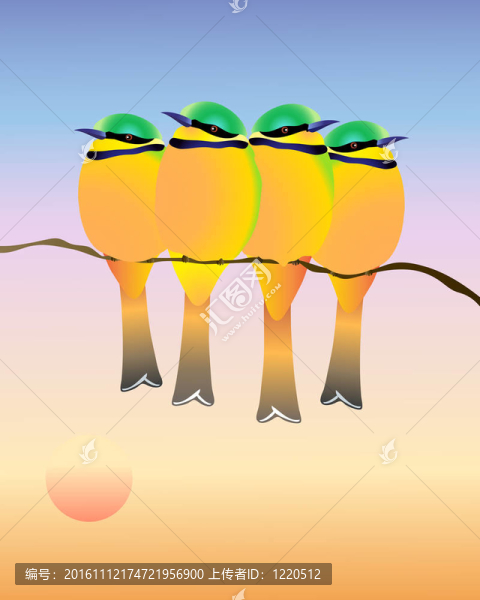 蜂虎鳥