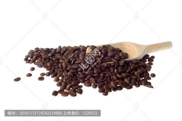 新鮮的咖啡豆