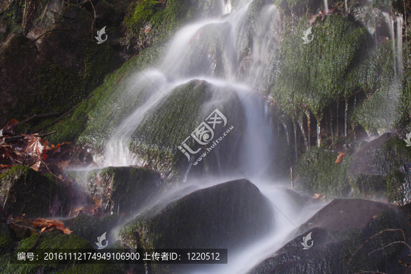 我貝薩亞河自然公園；坎塔布里亞；西班牙