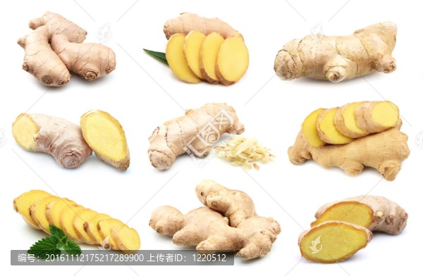 生姜-匯圖網(wǎng) www.fosd68.com 生姜
