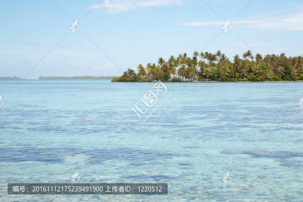 熱帶島嶼