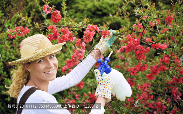 年輕女子噴霧樹