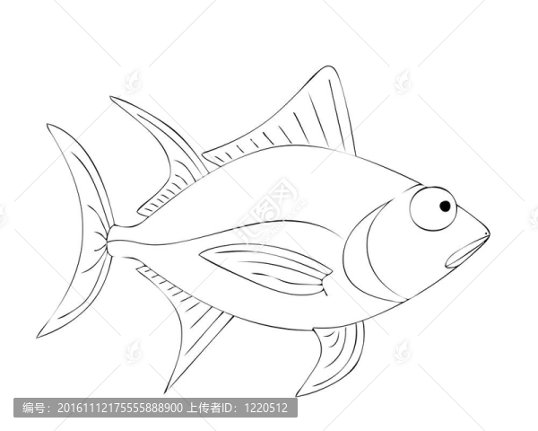 金槍魚