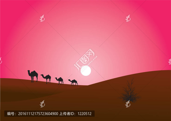 駱駝在沙漠中