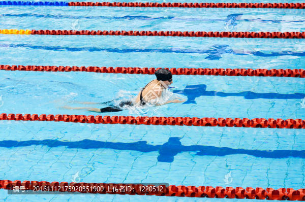 游泳運動員在游泳池里游泳