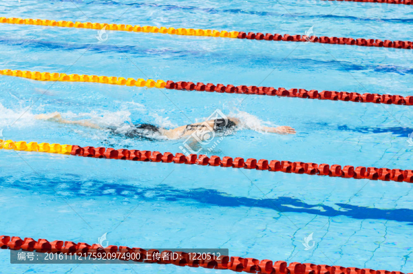游泳運動員在游泳池里游泳