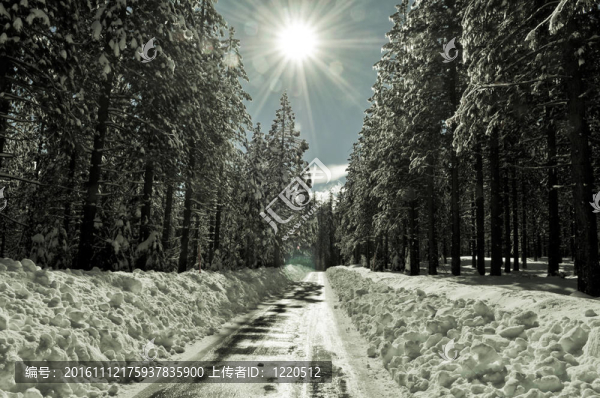 太陽耀斑在雪中的道路