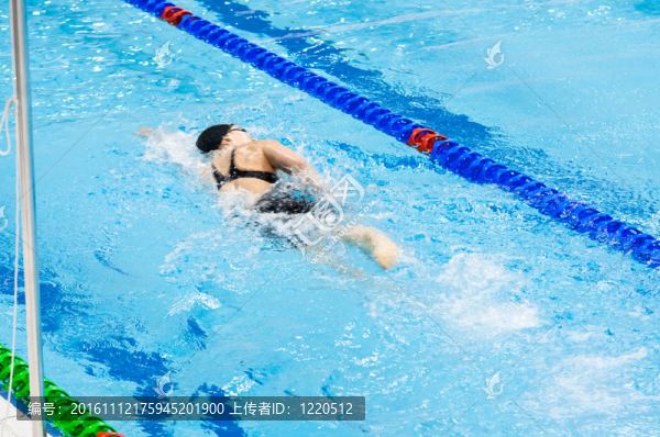 游泳運(yùn)動(dòng)員在游泳池里游泳
