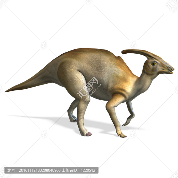 櫛龍恐龍。3D渲染與剪輯路徑和陰影超過白色