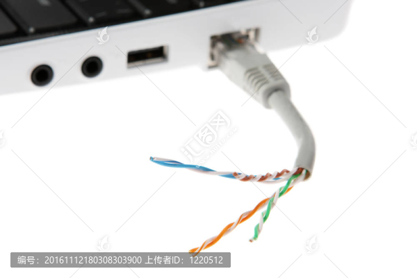 破網(wǎng)絡(luò)電纜接線(xiàn)電纜特寫(xiě)；