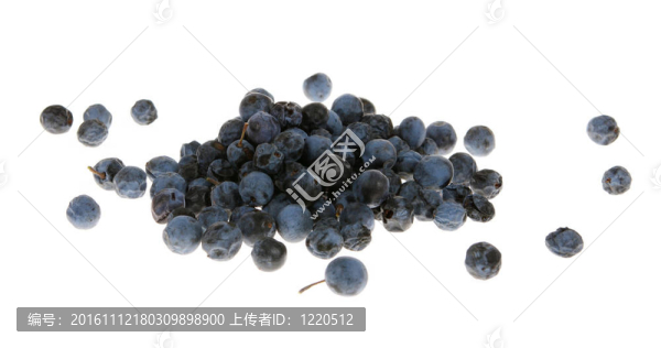 黑刺莓（Prunus,spinosa）；