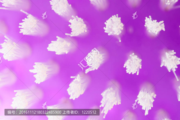紫色抽象紋理畫筆