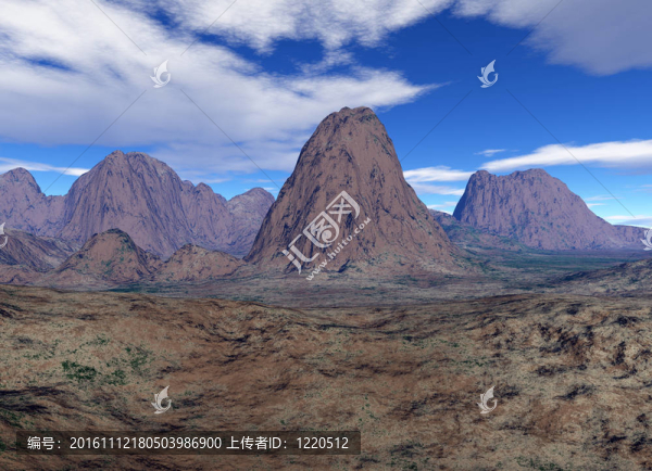 美麗的風(fēng)景