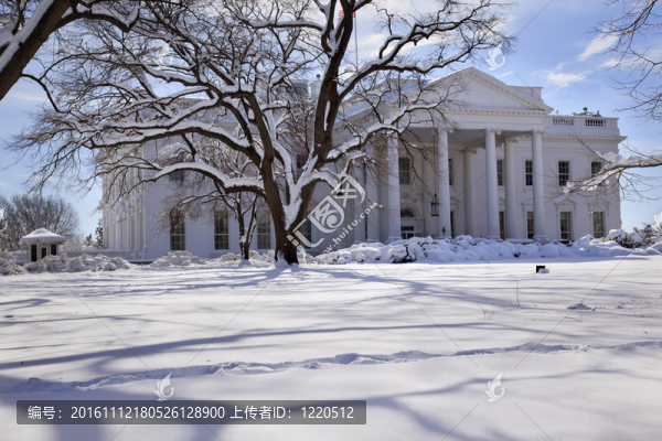 白宮樹木雪后賓夕法尼亞大街華盛頓